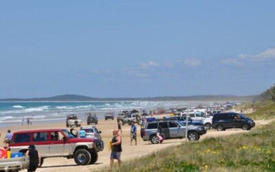 NOOSA NORTH SHORE UPDATE FEBRUARY 2020